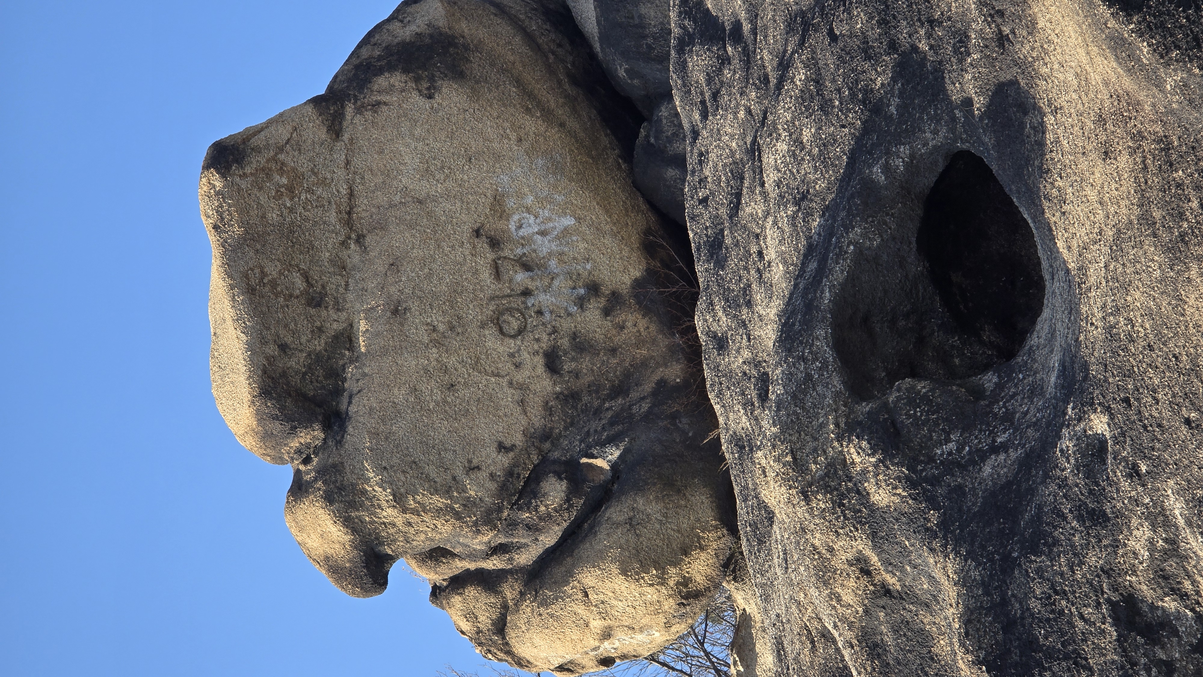 Missing home of mars