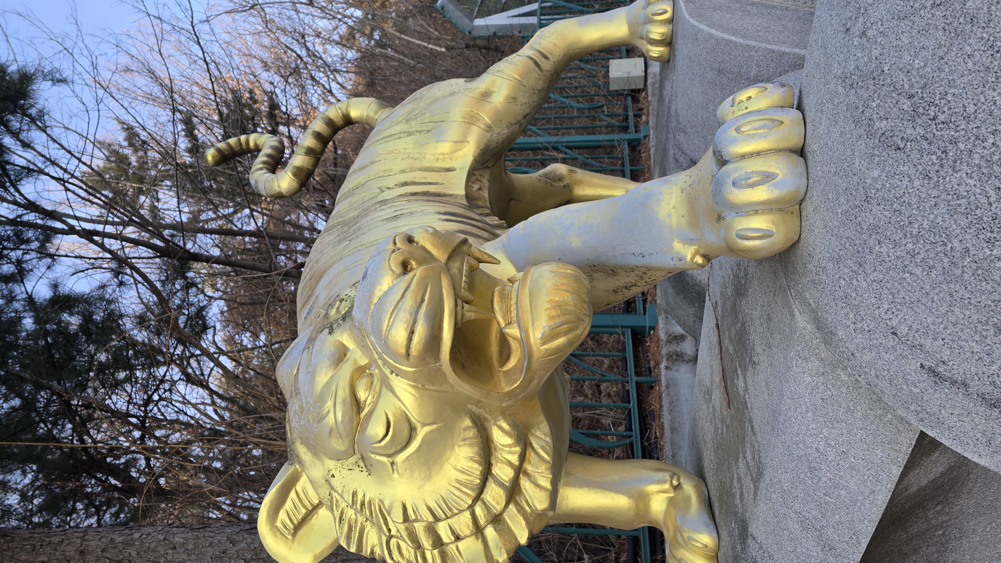 Tiger in Seoul Inwangsan Mountain